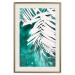 Poster Emerald Shade - plant texture of white leaves on a green background 122315 additionalThumb 19