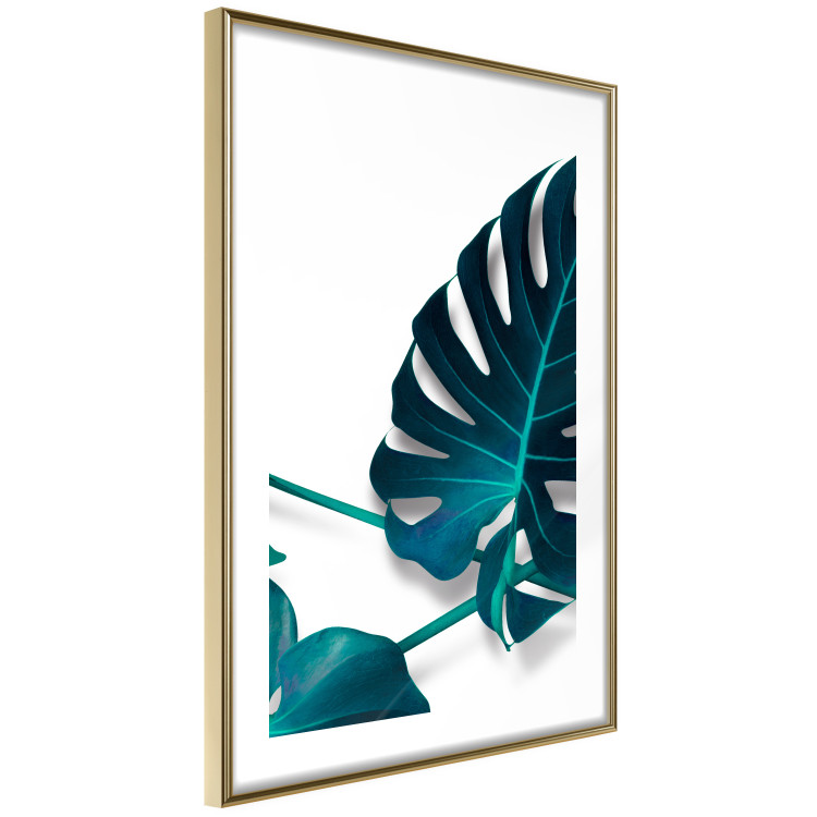 Wall Poster Sea Flower - tropical green leaf on contrasting white background 123415 additionalImage 6