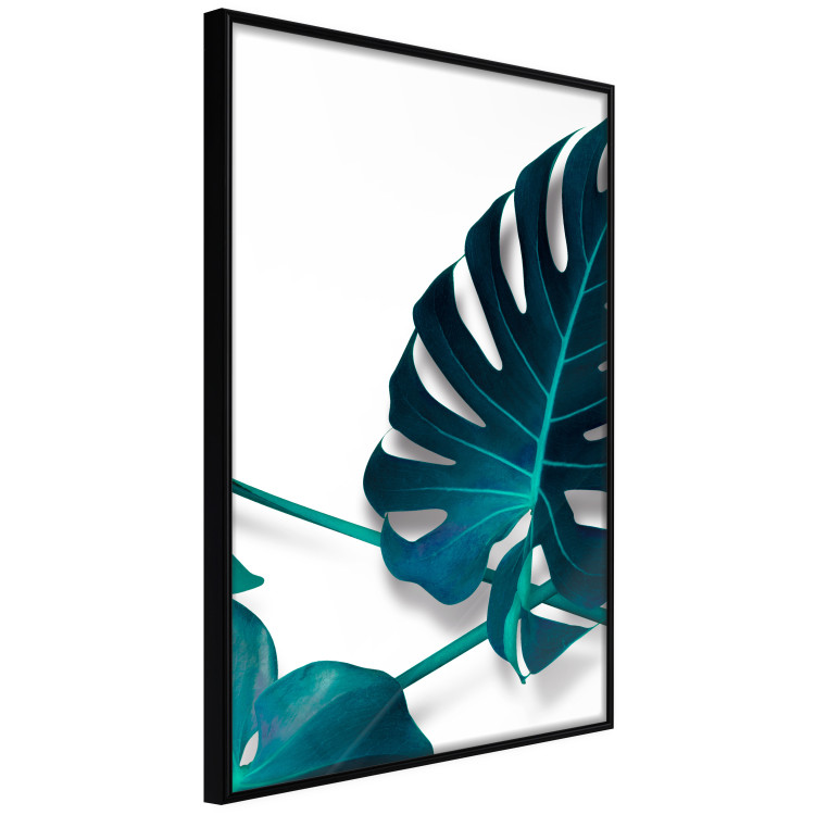 Wall Poster Sea Flower - tropical green leaf on contrasting white background 123415 additionalImage 10