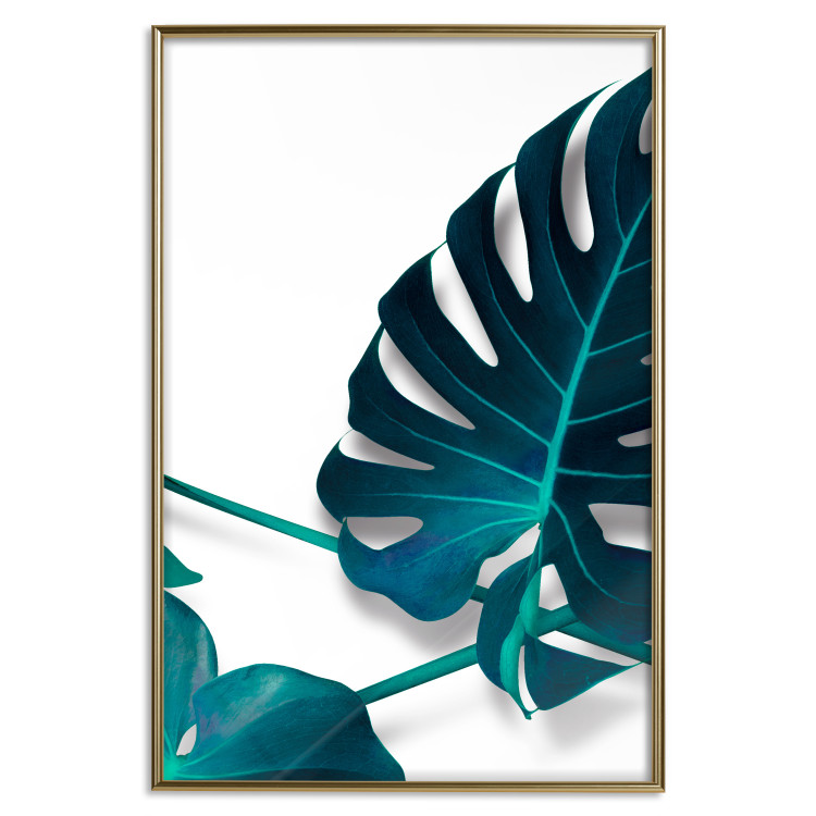 Wall Poster Sea Flower - tropical green leaf on contrasting white background 123415 additionalImage 16