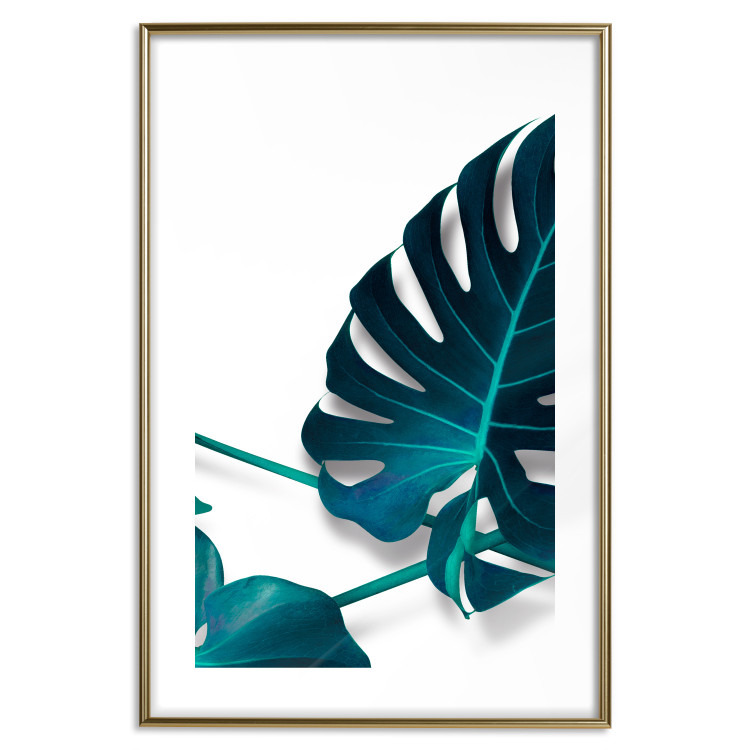Wall Poster Sea Flower - tropical green leaf on contrasting white background 123415 additionalImage 14