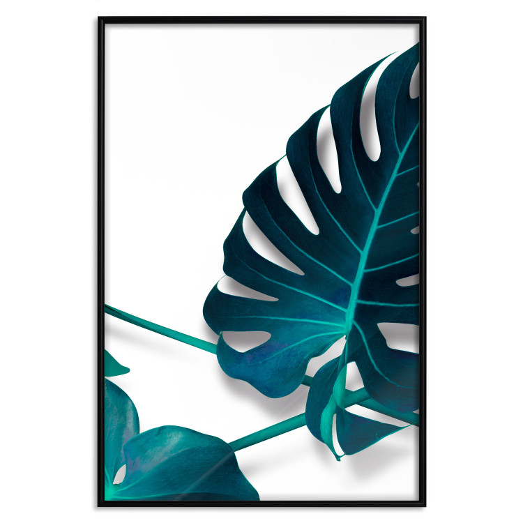 Wall Poster Sea Flower - tropical green leaf on contrasting white background 123415 additionalImage 18