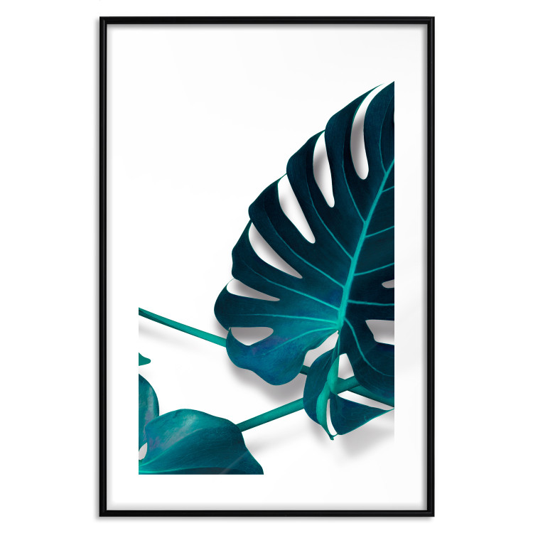 Wall Poster Sea Flower - tropical green leaf on contrasting white background 123415 additionalImage 15