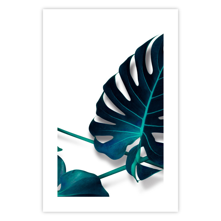 Wall Poster Sea Flower - tropical green leaf on contrasting white background 123415 additionalImage 19