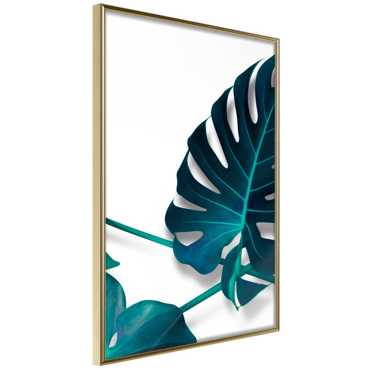 Wall Poster Sea Flower - tropical green leaf on contrasting white background 123415 additionalImage 12