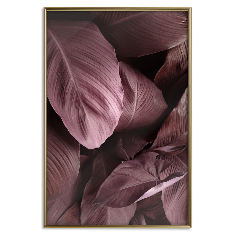 Poster Velvety Leaves - landscape of shiny brown leaves from various plants 123515 additionalImage 16