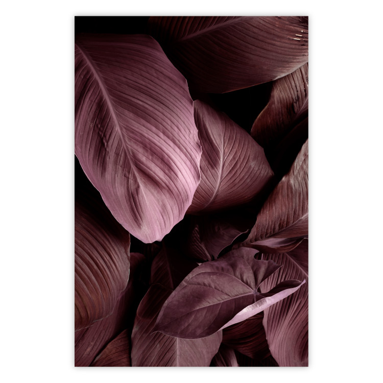 Poster Velvety Leaves - landscape of shiny brown leaves from various plants 123515