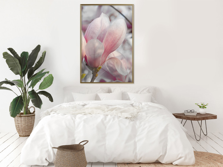 Wall Poster Harbinger of Spring - spring plant with delicately pink flower 126215 additionalImage 5