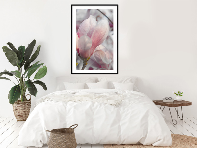 Wall Poster Harbinger of Spring - spring plant with delicately pink flower 126215 additionalImage 4