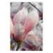 Wall Poster Harbinger of Spring - spring plant with delicately pink flower 126215