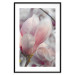 Wall Poster Harbinger of Spring - spring plant with delicately pink flower 126215 additionalThumb 15