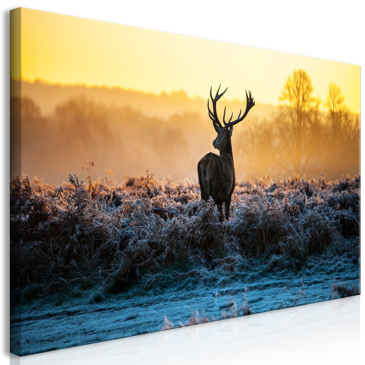 Large canvas print Winter Afternoon II [Large Format] 128515 additionalImage 2