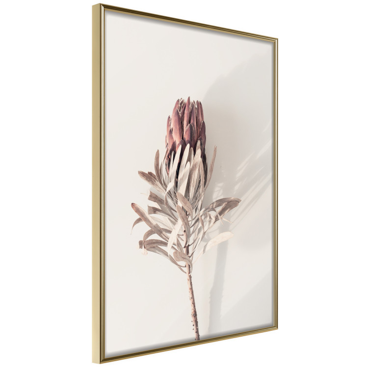 Wall Poster Tropical Bud - dried tropical plant with flower on light background 129715 additionalImage 12