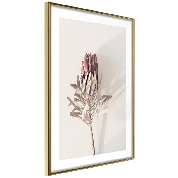 Wall Poster Tropical Bud - dried tropical plant with flower on light background 129715 additionalImage 7