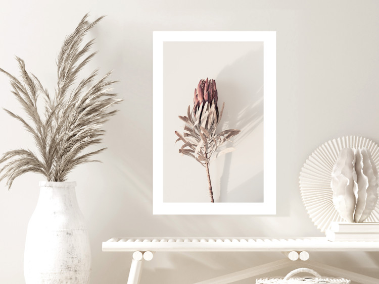 Wall Poster Tropical Bud - dried tropical plant with flower on light background 129715 additionalImage 3