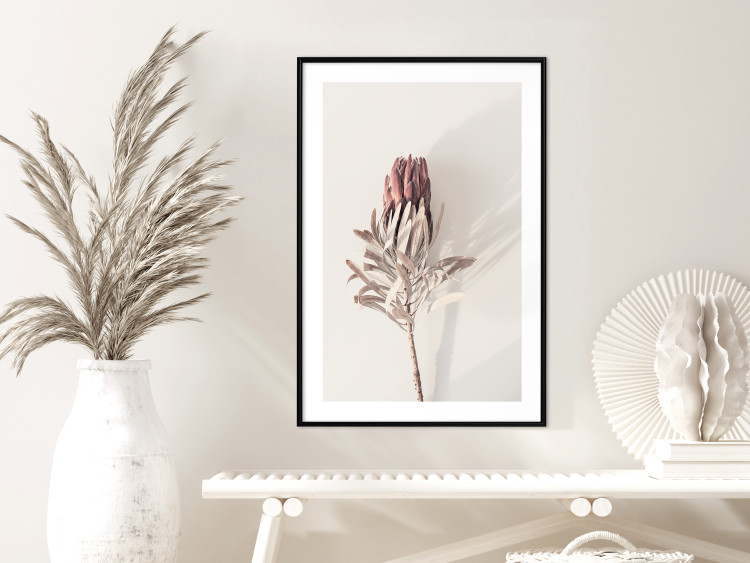 Wall Poster Tropical Bud - dried tropical plant with flower on light background 129715 additionalImage 15