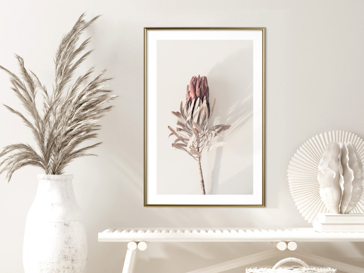 Wall Poster Tropical Bud - dried tropical plant with flower on light background 129715 additionalImage 13