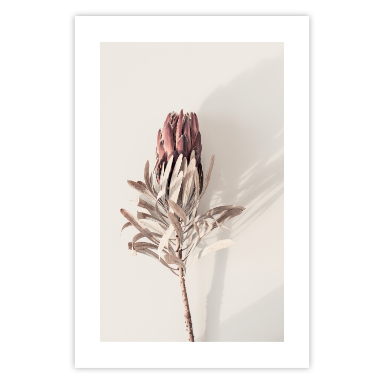 Wall Poster Tropical Bud - dried tropical plant with flower on light background 129715 additionalImage 17