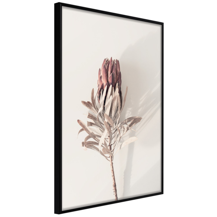 Wall Poster Tropical Bud - dried tropical plant with flower on light background 129715 additionalImage 11