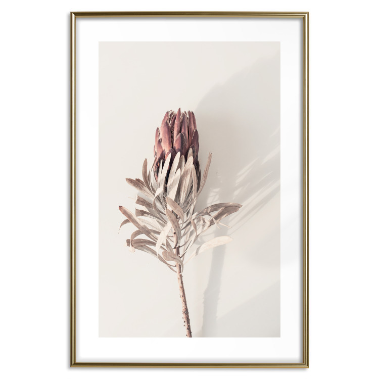 Wall Poster Tropical Bud - dried tropical plant with flower on light background 129715 additionalImage 20