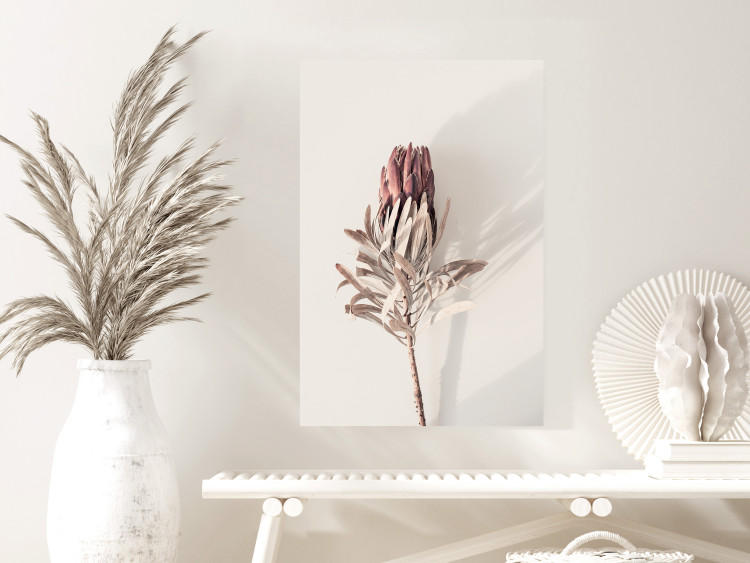 Wall Poster Tropical Bud - dried tropical plant with flower on light background 129715 additionalImage 2