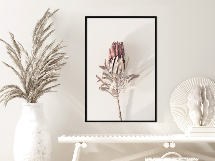 Wall Poster Tropical Bud - dried tropical plant with flower on light background 129715 additionalImage 4