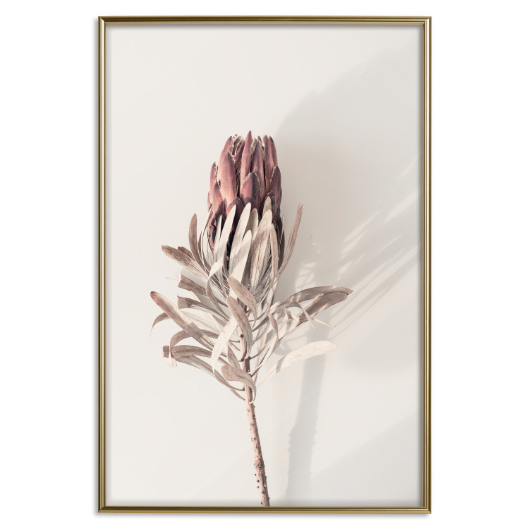 Wall Poster Tropical Bud - dried tropical plant with flower on light background 129715 additionalImage 18