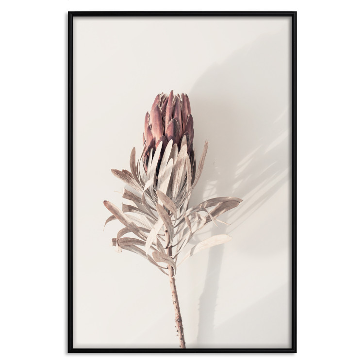 Wall Poster Tropical Bud - dried tropical plant with flower on light background 129715 additionalImage 19