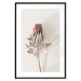 Wall Poster Tropical Bud - dried tropical plant with flower on light background 129715 additionalThumb 16