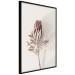 Wall Poster Tropical Bud - dried tropical plant with flower on light background 129715 additionalThumb 11