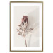 Wall Poster Tropical Bud - dried tropical plant with flower on light background 129715 additionalThumb 20