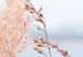 Wall Poster Fancy Branches - landscape of a golden plant against a blurred background 129915 additionalThumb 10