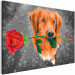 Paint by Number Kit Dog With Rose  132315 additionalThumb 5