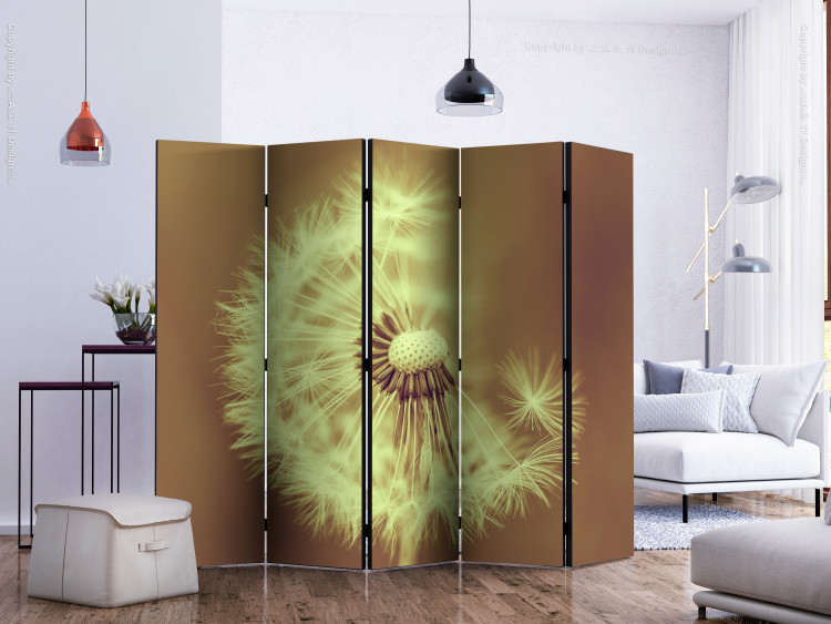 Room Separator Dandelion (Sepia) II (5-piece) - light flower on a brown background 132815 additionalImage 2