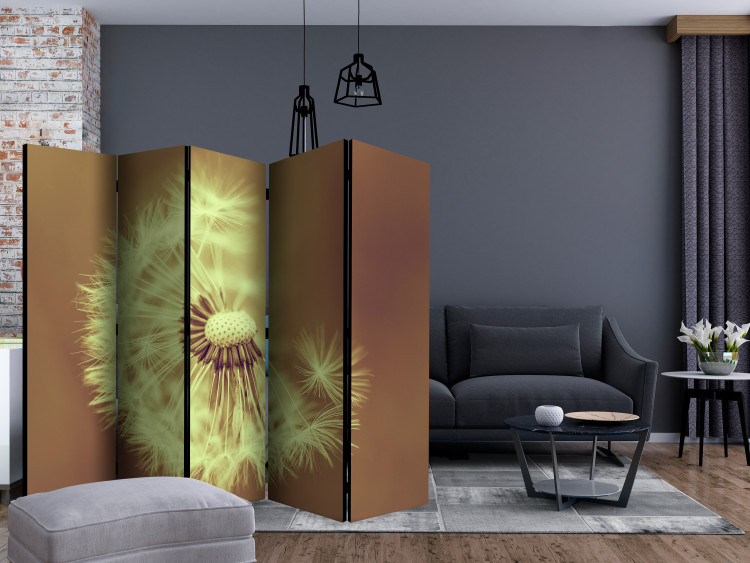 Room Separator Dandelion (Sepia) II (5-piece) - light flower on a brown background 132815 additionalImage 4