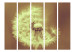 Room Separator Dandelion (Sepia) II (5-piece) - light flower on a brown background 132815 additionalThumb 3