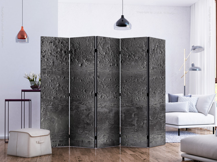 Room Divider Gray Storm II - uneven texture of gray sand with visible gradation 133615 additionalImage 2