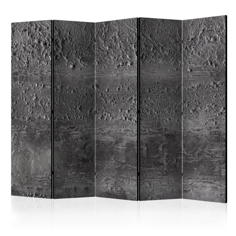 Room Divider Gray Storm II - uneven texture of gray sand with visible gradation 133615