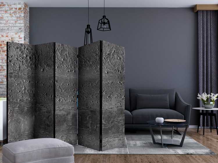 Room Divider Gray Storm II - uneven texture of gray sand with visible gradation 133615 additionalImage 4