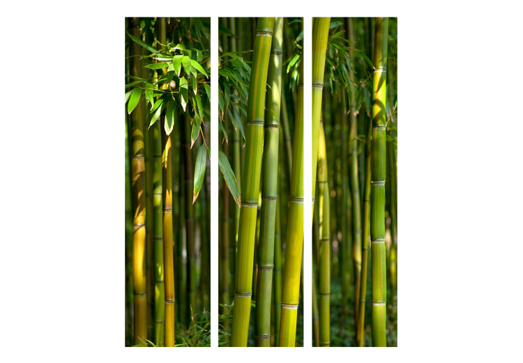 Room Divider Screen Oriental Garden - landscape of green bamboo forest and vegetation 133815 additionalImage 3