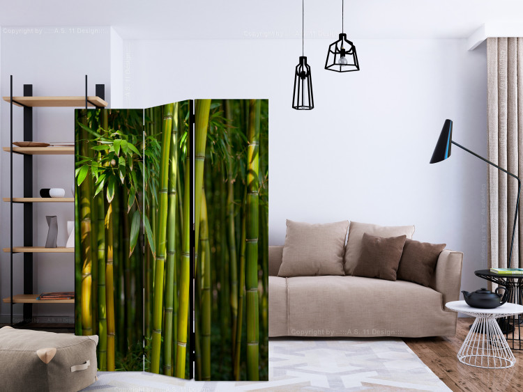Room Divider Screen Oriental Garden - landscape of green bamboo forest and vegetation 133815 additionalImage 4