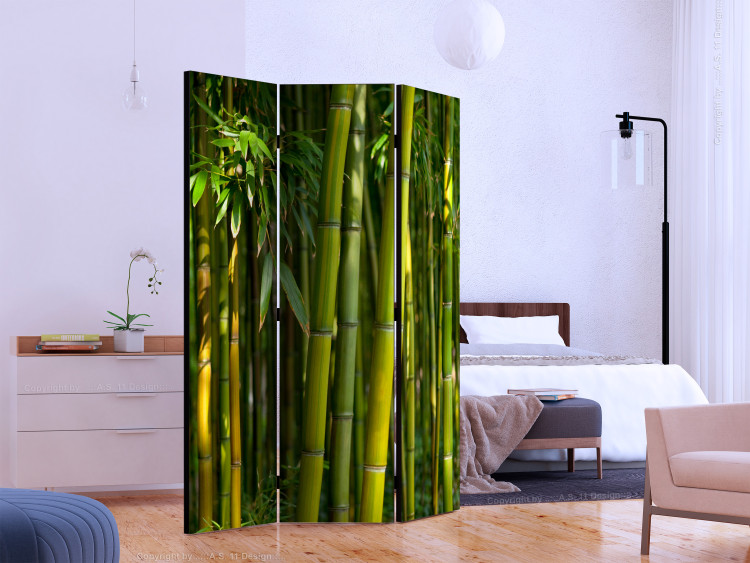 Room Divider Screen Oriental Garden - landscape of green bamboo forest and vegetation 133815 additionalImage 2