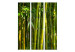 Room Divider Screen Oriental Garden - landscape of green bamboo forest and vegetation 133815 additionalThumb 3