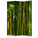 Room Divider Screen Oriental Garden - landscape of green bamboo forest and vegetation 133815