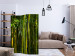 Room Divider Screen Oriental Garden - landscape of green bamboo forest and vegetation 133815 additionalThumb 4