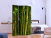 Room Divider Screen Oriental Garden - landscape of green bamboo forest and vegetation 133815 additionalThumb 2