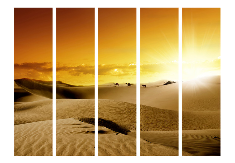 Room Separator Camel Caravan II - desert landscape with sunlight 134115 additionalImage 3