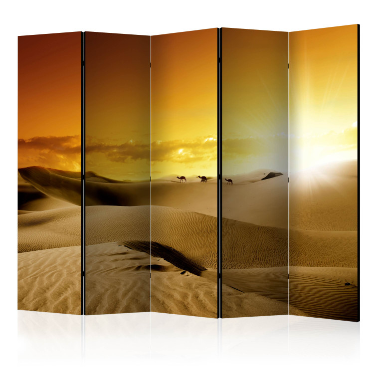 Room Separator Camel Caravan II - desert landscape with sunlight 134115