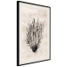 Poster Marine Bushes - black plant composition on a beige textured background 134515 additionalThumb 2