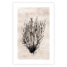 Poster Marine Bushes - black plant composition on a beige textured background 134515 additionalThumb 25